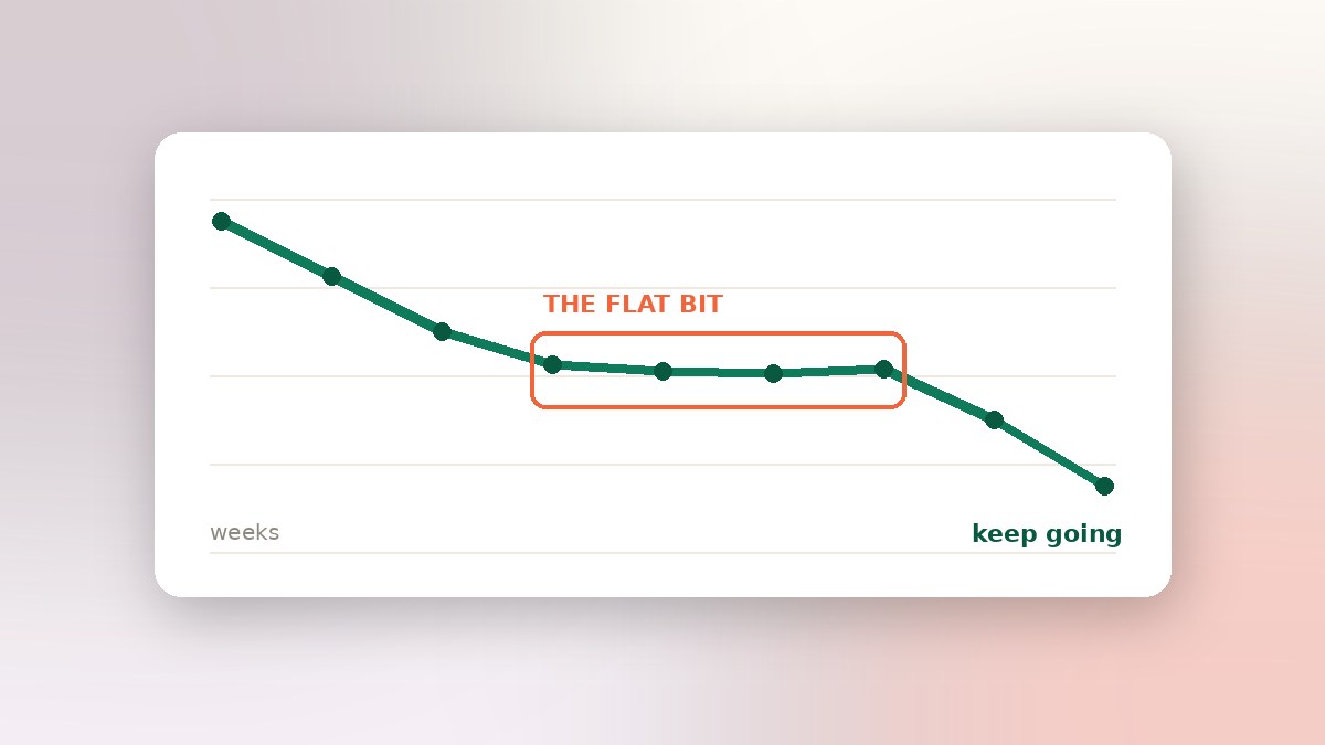 A weight loss line chart with the flat plateau section highlighted